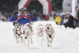 Lenzerheide 2013